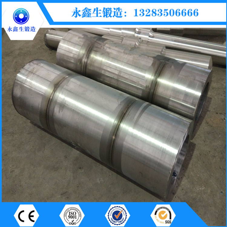 N1aDN1300